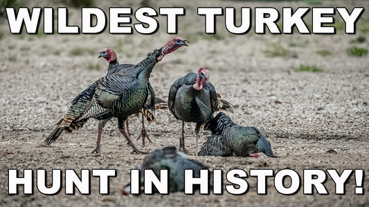 Spring Turkey Hunting in North Texas | Michael Lee's Gobbler Hunt 🦃