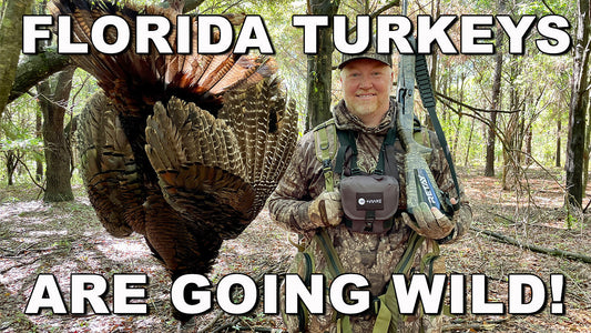 Tips from a Successful Florida Osceola Hunt
