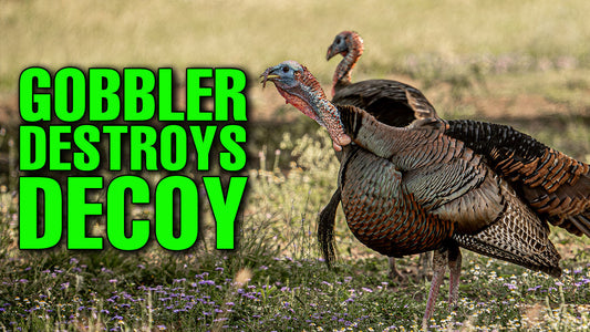 Georgia Longbeard Showdown: When a Gobbler Goes Full Beast Mode