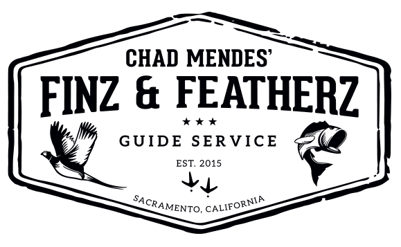 Chad Mendes Finz &Amp; Featherz