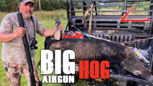 Big Airgun Hog - Lethal - Lethal Products